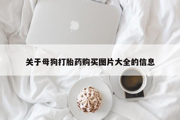 网上购买米非司酮片去哪买新闻 第104页